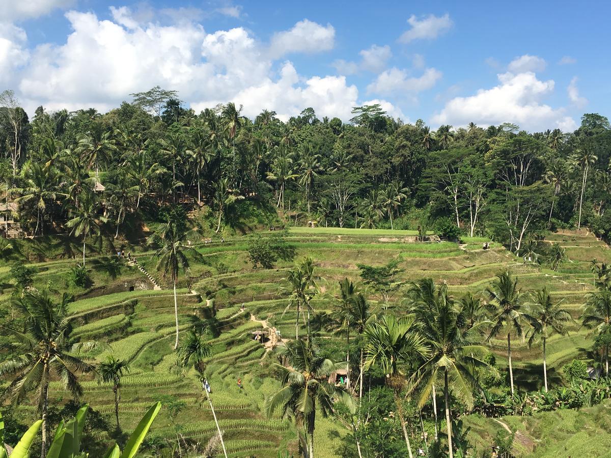 Villa Maha Ubud Eksteriør billede